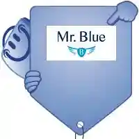 mr-blue.com